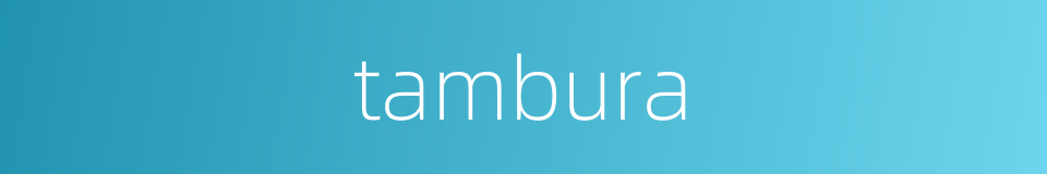 tambura的同义词
