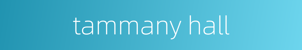 tammany hall的同义词