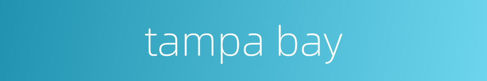 tampa bay的同义词