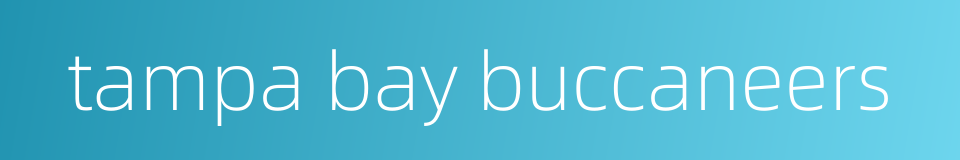 tampa bay buccaneers的同义词
