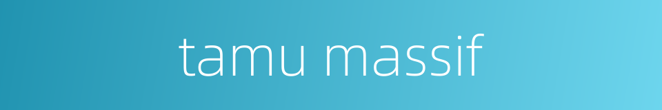 tamu massif的同义词