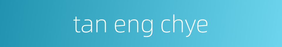 tan eng chye的同义词