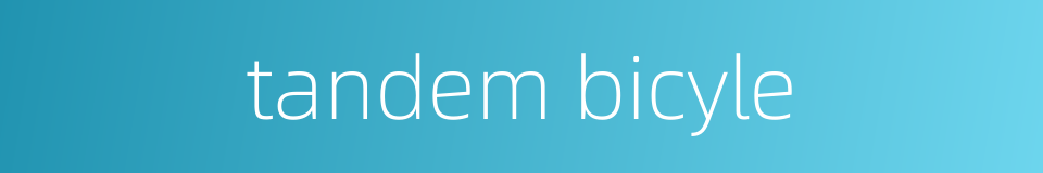 tandem bicyle的同义词