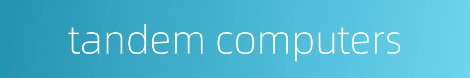 tandem computers的同义词