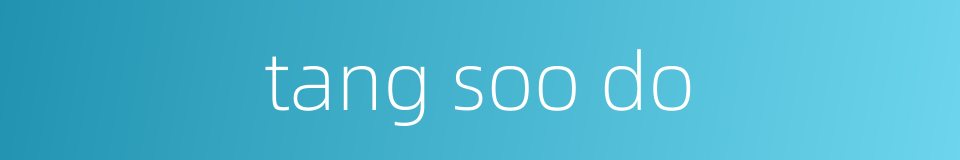 tang soo do的同义词