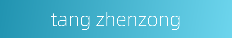 tang zhenzong的同义词