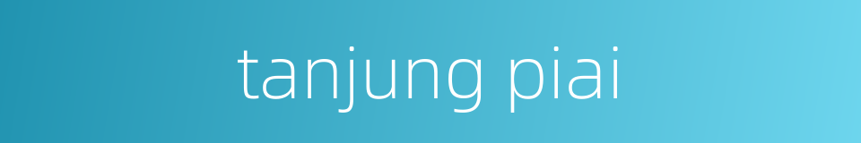 tanjung piai的同义词