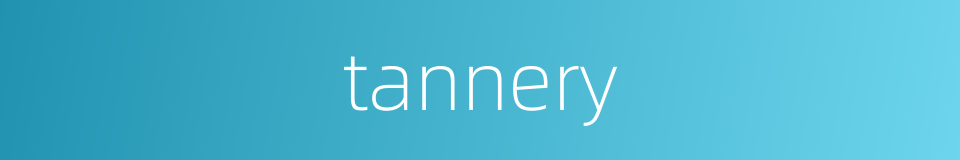 tannery的同义词