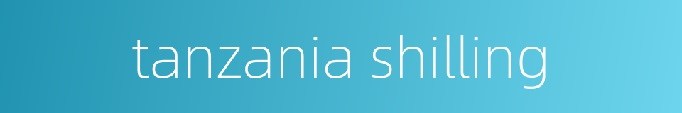 tanzania shilling的同义词