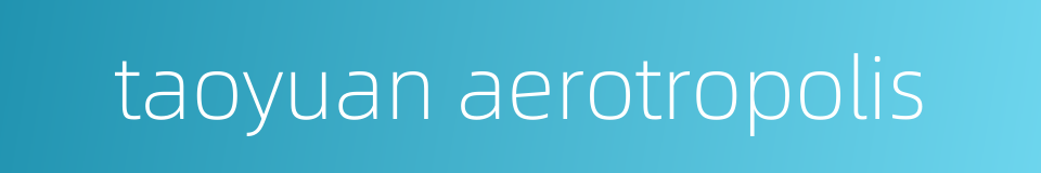 taoyuan aerotropolis的同义词