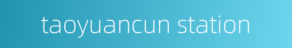 taoyuancun station的同义词