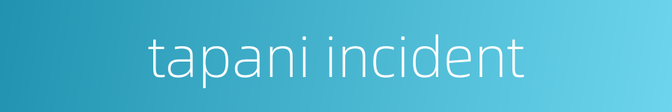 tapani incident的同义词