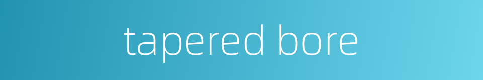 tapered bore的同义词