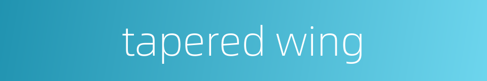 tapered wing的同义词