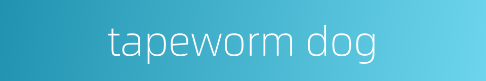tapeworm dog的同义词