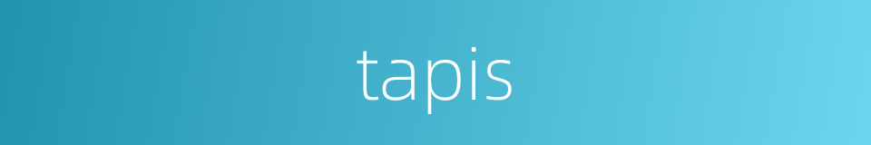 tapis的同义词