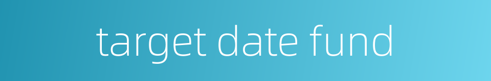 target date fund的同义词