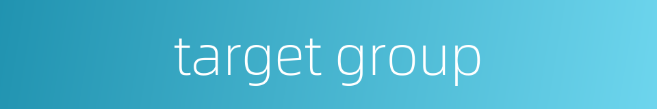 target group的同义词