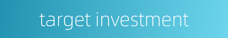 target investment的同义词