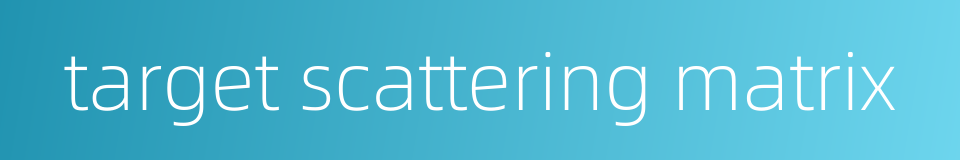 target scattering matrix的同义词