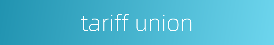 tariff union的同义词