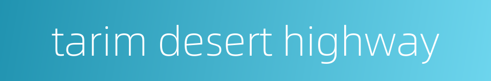 tarim desert highway的同义词