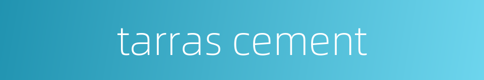 tarras cement的同义词