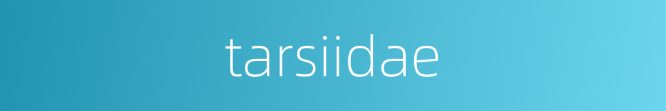 tarsiidae的同义词
