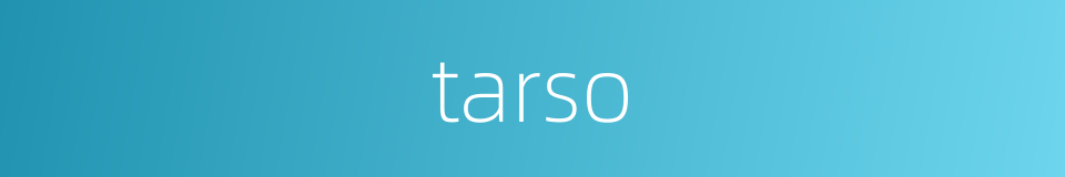 tarso的同义词