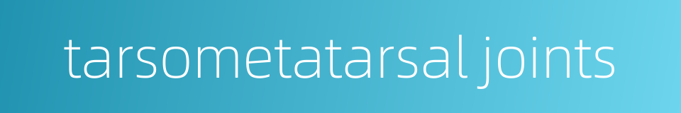 tarsometatarsal joints的同义词