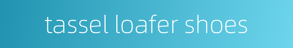 tassel loafer shoes的同义词