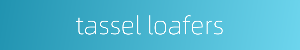 tassel loafers的同义词