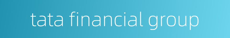 tata financial group的同义词