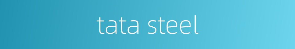 tata steel的同义词