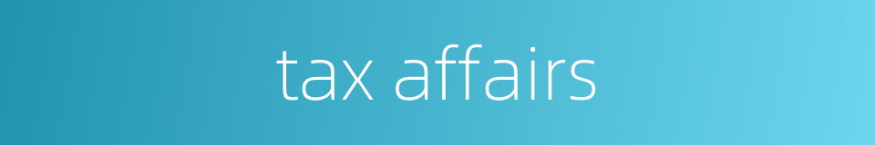 tax affairs的同义词