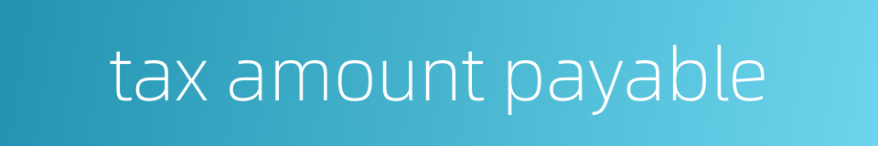 tax amount payable的同义词