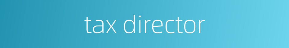 tax director的同义词