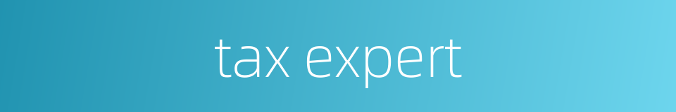 tax expert的同义词