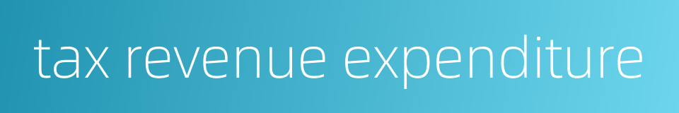 tax revenue expenditure的同义词