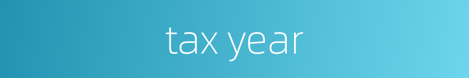 tax year的同义词
