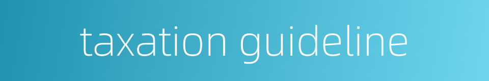 taxation guideline的同义词