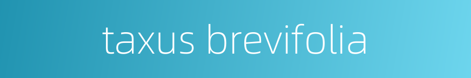 taxus brevifolia的同义词