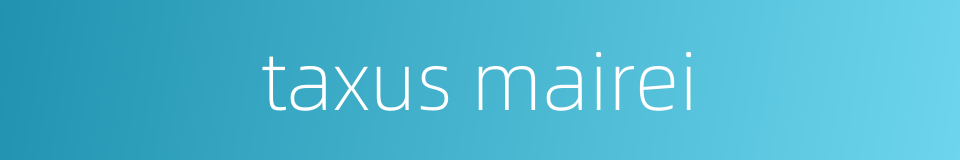 taxus mairei的同义词