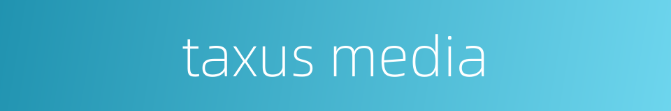 taxus media的同义词