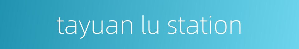 tayuan lu station的同义词
