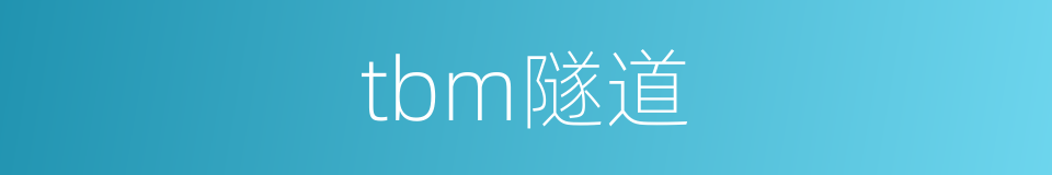 tbm隧道的同义词