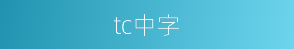 tc中字的同义词