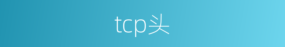 tcp头的同义词