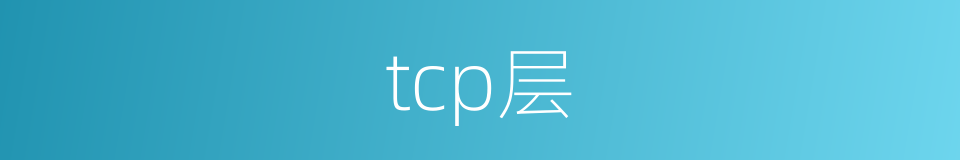 tcp层的同义词