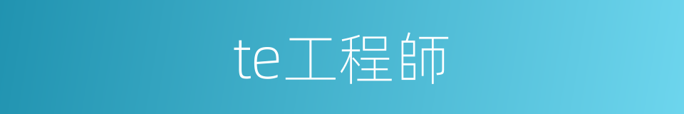 te工程師的同義詞